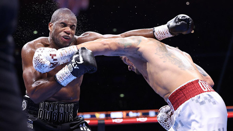 Boxing hạng nặng hấp dẫn nhờ những cú knock-out mạnh mẽ, kịch tính và khả năng đảo ngược trận đấu chỉ trong vài giây. 